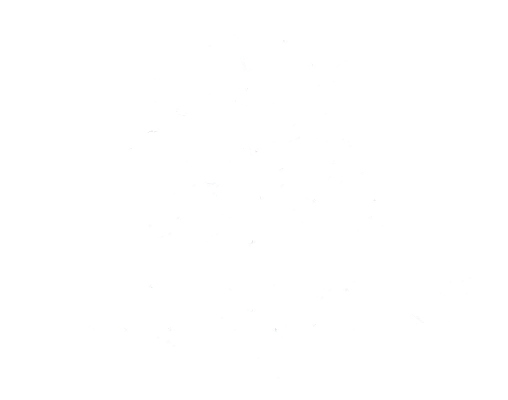 Logo Juegos Pirotecnicos | Magia y Color