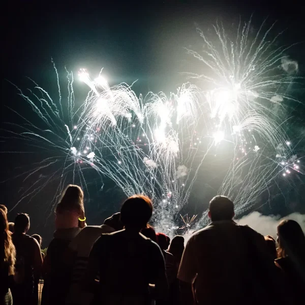 new-year-concept-cheering-crowd-and-firework